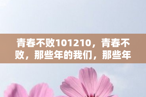 青春不败101210，青春不败，那些年的我们，那些年的梦
