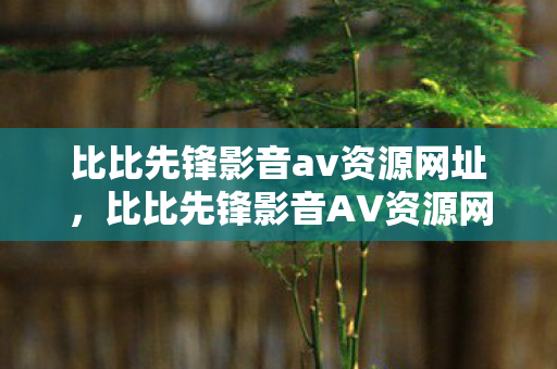 比比先锋影音av资源网址，比比先锋影音AV资源网，探索影音世界的无限可能