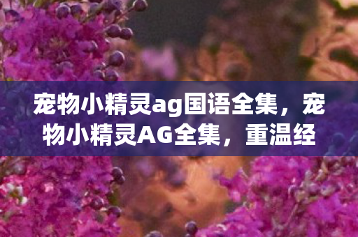 宠物小精灵ag国语全集，宠物小精灵AG全集，重温经典，探索神奇之旅