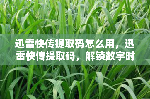 迅雷快传提取码怎么用，迅雷快传提取码，解锁数字时代资源分享的新方式