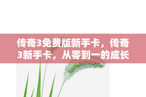 传奇3免费版新手卡，传奇3新手卡，从零到一的成长之路