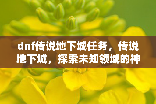dnf传说地下城任务,传说地下城,探索未知领域的神秘之旅 dnf传说地下城任务,传说地下城,探索未知领域的神秘之旅