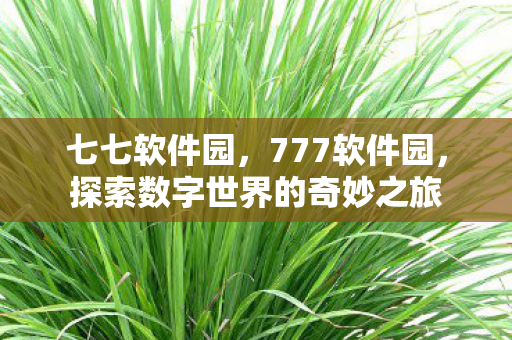 七七软件园，777软件园，探索数字世界的奇妙之旅
