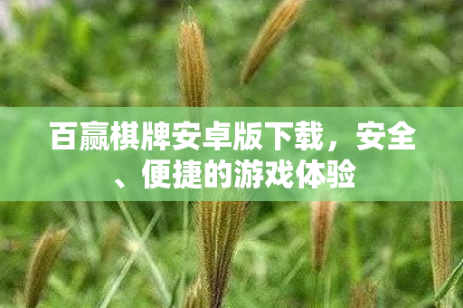 百赢棋牌安卓版下载，安全、便捷的游戏体验
