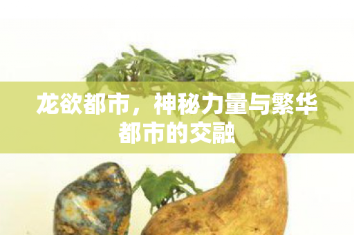 龙欲都市，神秘力量与繁华都市的交融