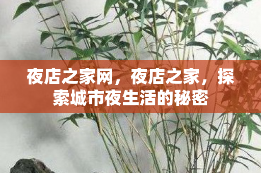 夜店之家网，夜店之家，探索城市夜生活的秘密