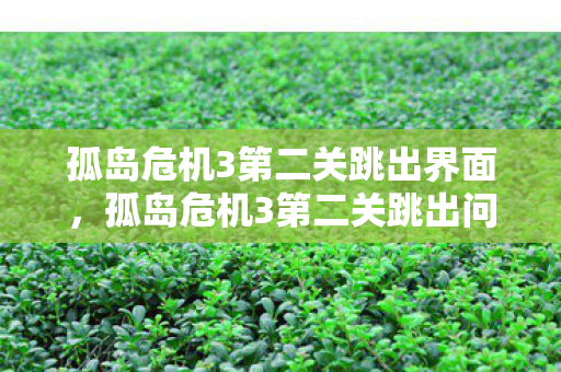 孤岛危机3第二关跳出界面，孤岛危机3第二关跳出问题解决方案