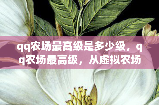 qq农场最高级是多少级，qq农场最高级，从虚拟农场到现实生活的启示