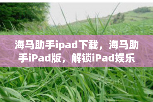 海马助手ipad下载，海马助手iPad版，解锁iPad娱乐新体验