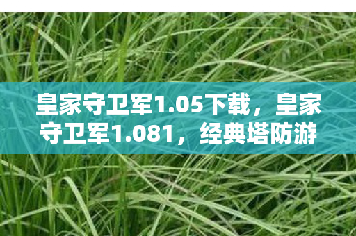 皇家守卫军1.05下载，皇家守卫军1.081，经典塔防游戏的全新挑战