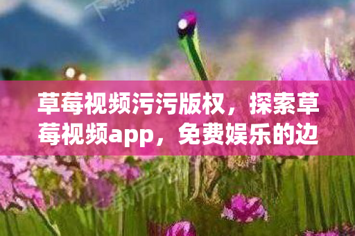 草莓视频污污版权，探索草莓视频app，免费娱乐的边界与责任