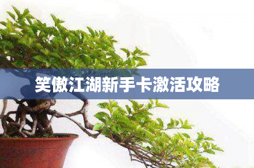 笑傲江湖新手卡激活攻略