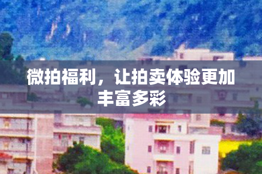 微拍福利，让拍卖体验更加丰富多彩