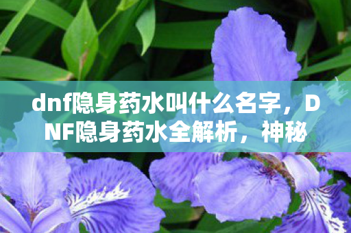 dnf隐身药水叫什么名字，DNF隐身药水全解析，神秘药剂的奥秘与用途