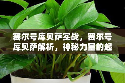 赛尔号库贝萨实战,赛尔号库贝萨解析,神秘力量的起源与影响 赛尔号库贝萨实战,赛尔号库贝萨解析,神秘力量的起源与影响