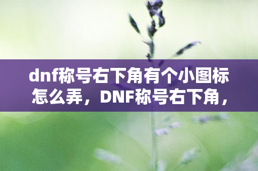 dnf称号右下角有个小图标怎么弄，DNF称号右下角，隐藏的秘密与特殊意义