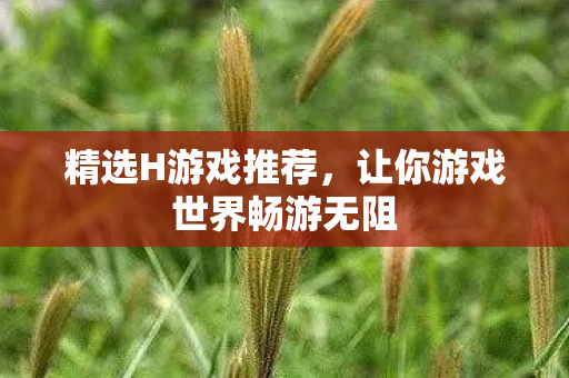 精选H游戏推荐,让你游戏世界畅游无阻 精选H游戏推荐,让你游戏世界畅游无阻