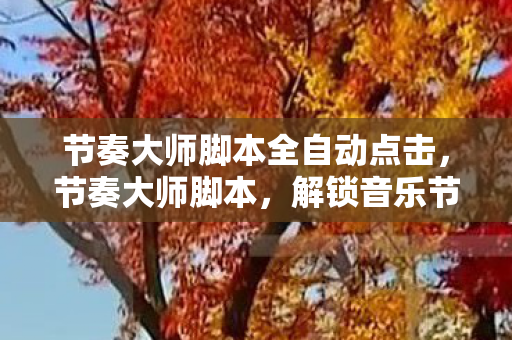 节奏大师脚本全自动点击，节奏大师脚本，解锁音乐节奏新境界