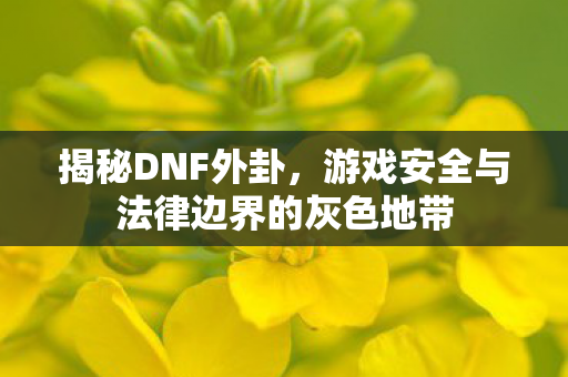 揭秘DNF外卦,游戏安全与法律边界的灰色地带 揭秘DNF外卦,游戏安全与法律边界的灰色地带