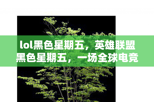 lol黑色星期五，英雄联盟黑色星期五，一场全球电竞盛宴的狂欢