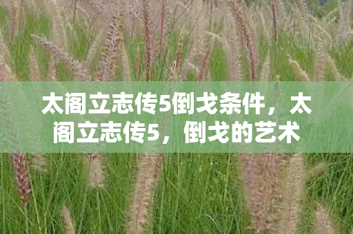 太阁立志传5倒戈条件，太阁立志传5，倒戈的艺术