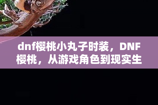 dnf樱桃小丸子时装，DNF樱桃，从游戏角色到现实生活的甜蜜邂逅