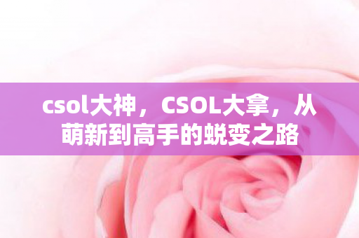 csol大神，CSOL大拿，从萌新到高手的蜕变之路