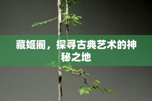 藏姬阁，探寻古典艺术的神秘之地