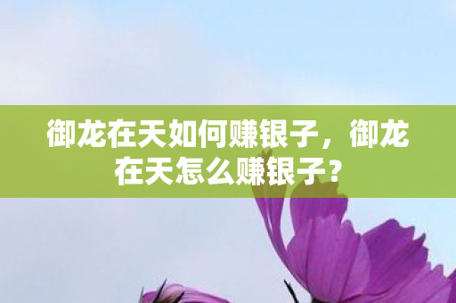 御龙在天如何赚银子，御龙在天怎么赚银子？