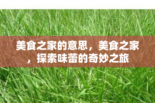 美食之家的意思，美食之家，探索味蕾的奇妙之旅