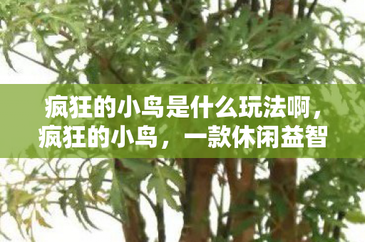 疯狂的小鸟是什么玩法啊，疯狂的小鸟，一款休闲益智游戏的独特玩法解析