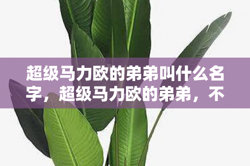超级马力欧的弟弟叫什么名字，超级马力欧的弟弟，不为人知的秘密