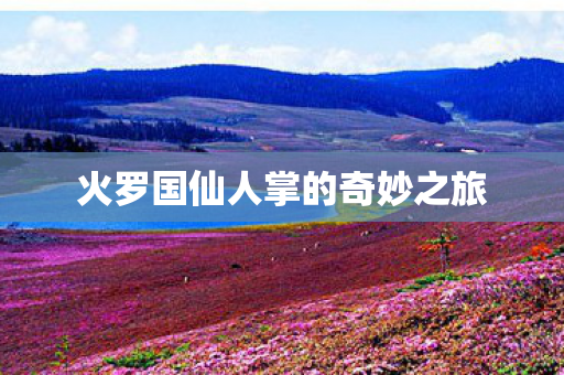 火罗国仙人掌的奇妙之旅