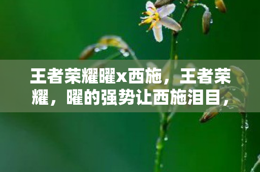 王者荣耀曜x西施，王者荣耀，曜的强势让西施泪目，玩家如何平衡英雄强度？