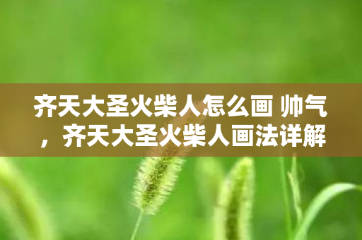 齐天大圣火柴人怎么画 帅气，齐天大圣火柴人画法详解