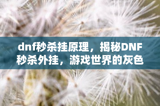 dnf秒杀挂原理，揭秘DNF秒杀外挂，游戏世界的灰色阴影