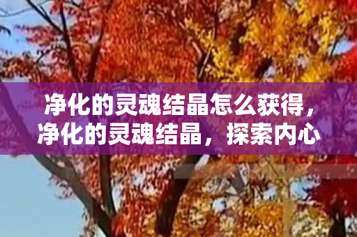 净化的灵魂结晶怎么获得，净化的灵魂结晶，探索内心的纯净与成长