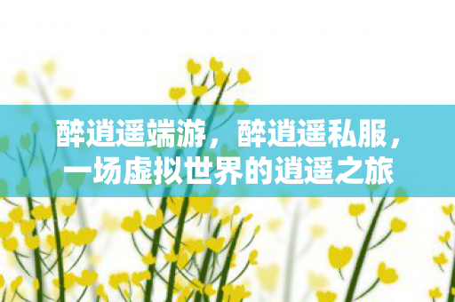 醉逍遥端游，醉逍遥私服，一场虚拟世界的逍遥之旅