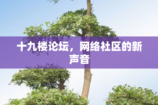 十九楼论坛,网络社区的新声音 十九楼论坛,网络社区的新声音