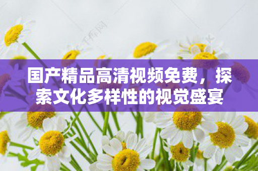 国产精品高清视频免费，探索文化多样性的视觉盛宴