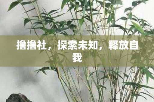 撸撸社，探索未知，释放自我