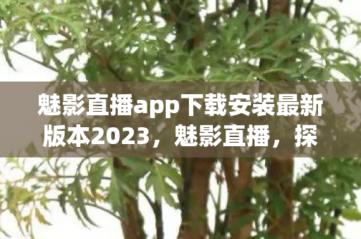 魅影直播app下载安装最新版本2023，魅影直播，探索未知，连接世界的窗口