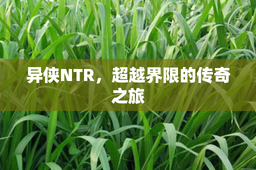 异侠NTR，超越界限的传奇之旅