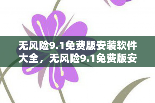 无风险9.1免费版安装软件大全，无风险9.1免费版安装，安全、高效、无忧的升级体验