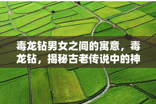 毒龙钻男女之间的寓意，毒龙钻，揭秘古老传说中的神秘武器