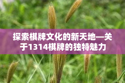 探索棋牌文化的新天地—关于1314棋牌的独特魅力