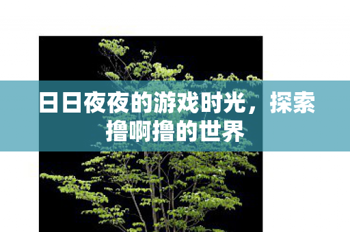 日日夜夜的游戏时光，探索撸啊撸的世界