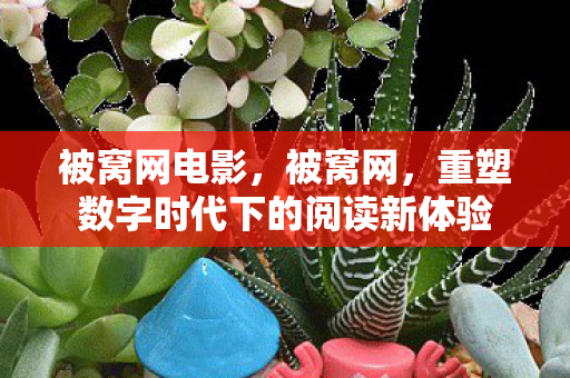 被窝网电影，被窝网，重塑数字时代下的阅读新体验