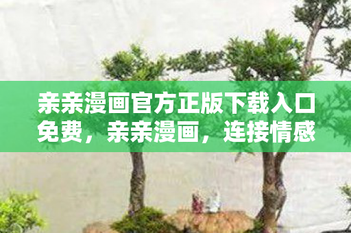 亲亲漫画官方正版下载入口免费，亲亲漫画，连接情感与想象的桥梁