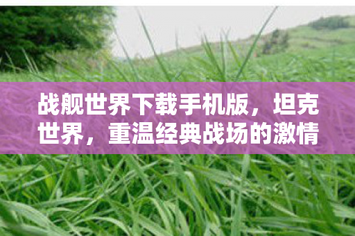 战舰世界下载手机版,坦克世界,重温经典战场的激情与荣耀 战舰世界下载手机版,坦克世界,重温经典战场的激情与荣耀